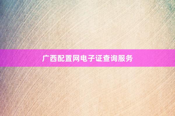 广西配置网电子证查询服务
