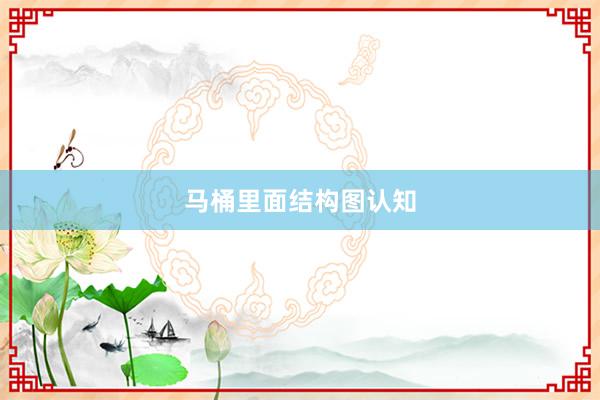 马桶里面结构图认知